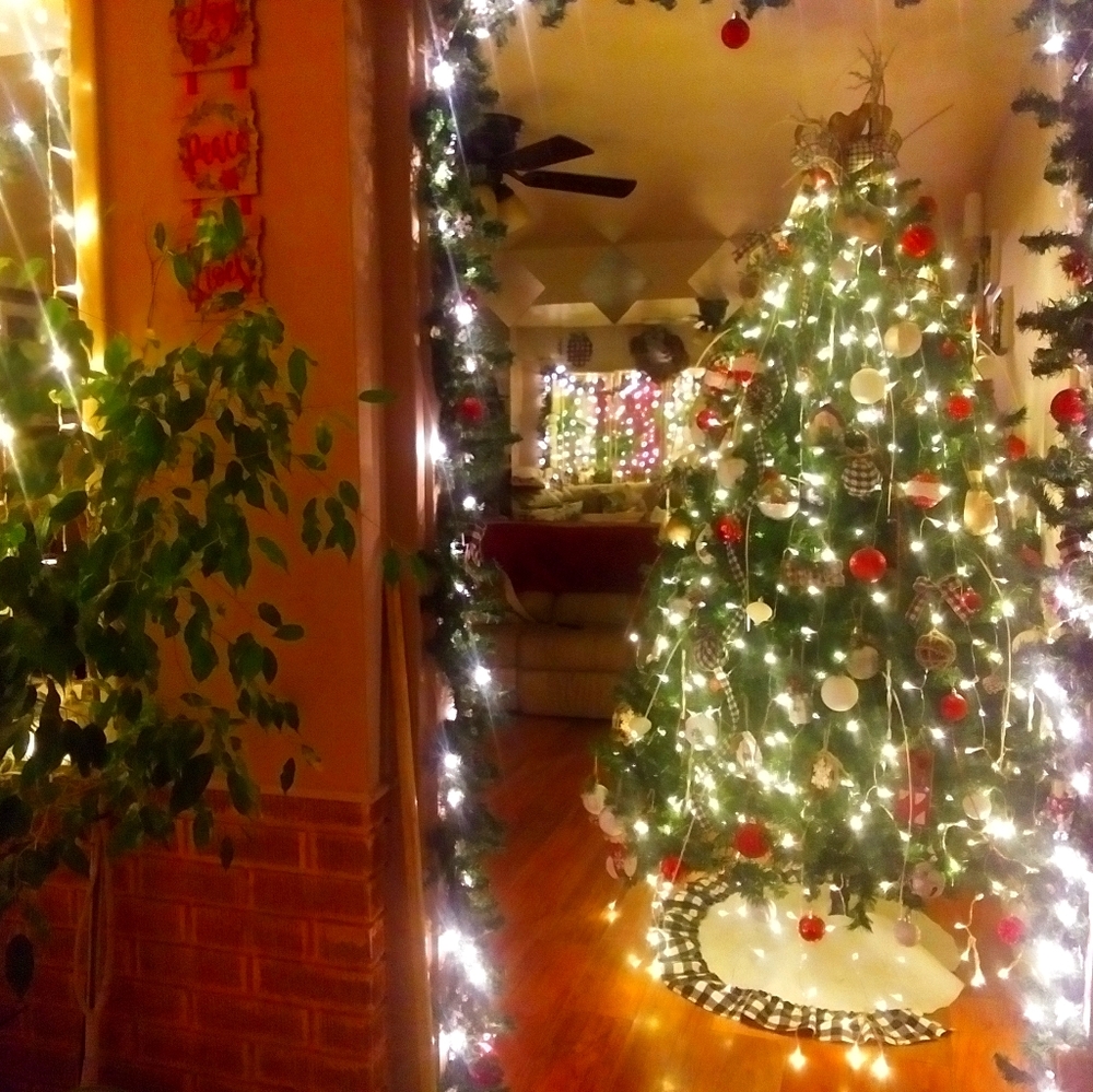 COPY - Meet your Posher, David